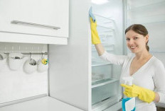 Tips Membersihkan Kulkas yang Benar dan Tetap Higienis
