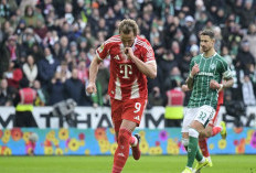 Harry Kane Bukukan 500 Gol Sepanjang Karier Profesional, ini Rinciannya