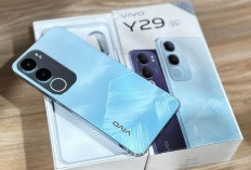 Vivo Y29 5G : Didukung Kamera Utama 50 MP dengan Fitur AI