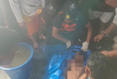 Bocah 13 Tahun Tewas Diterkam Buaya di Sungai Mahakam, ini Ceritanya