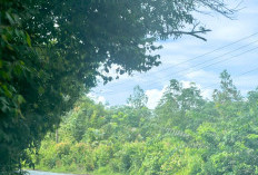 Warga Nilai Positif Kinerja Muchendi–Supri, Infrastruktur dan Layanan Publik Membaik