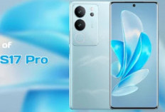 Vivo S17 Pro : Dibekali Layar AMOLED dengan Refresh Rate 120 Hz