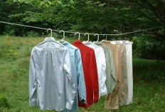 Begini Cara Mengeringkan Pakaian saat Musim Hujan agar Tidak Bau Apek