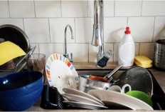 3 Tanda Kepribadian Seseorang yang Membiarkan Cucian Piring Kotor Menumpuk Menurut Psikologi