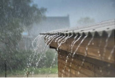 Prakiraan Cuaca Sumsel Hari ini Kamis 11 Desember 2025, Waspada Hujan Lebat dan Petir 