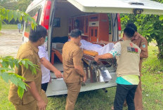 Dinas Sosial Ogan Ilir Lakukan Pemulasaran Warga Terlantar Dari Bone Sulsel