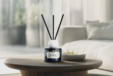 Inilah 7 Tips Membuat Rumah Harum Segar Sepanjang Hari, Dijamin Betah Seharian