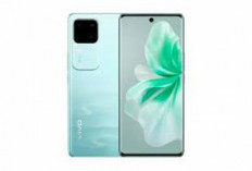 Vivo S18e : Disupport Layar AMOLED dengan Refresh Rate 120 Hz