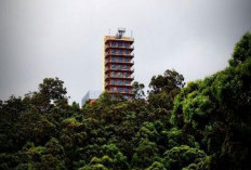 Tower 10 Lantai Berdiri di Tengah Hutan Dikira Apartemen, Ternyata Rumah Petani