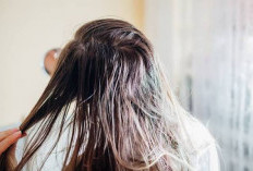 Simak! Inilah 8 Penyebab Rambut Lepek dan Cara Merawatnya