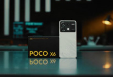 POCO X6 5G : HP Murah yang Dilengkapi Layar Lengkung AMOLED dengan Kamera Utama 64 MP