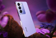 Vivo Y100 5G : Disupport Layar Super AMOLED dengan Refresh Rate Tinggi
