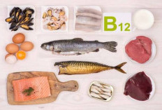 Inilah 8 Jenis Makanan yang Kaya akan Vitamin B12