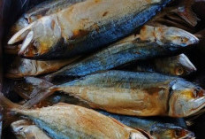 Inilah 7 Manfaat Ikan Asin untuk Kesehatan Tubuh