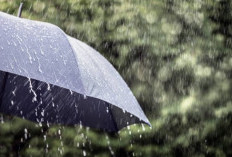 Prakiraan Cuaca Sumsel Minggu 5 April 2026 : Wasapada Hujan Ringan Hingga Sedang di Sejumlah Wilayah