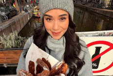 Sebelum Meninggal, Lula Lahfah Sempat Menjalani Kolonoskopi, ini Menurut Dokter