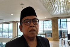 Ma'ruf Amin Mundur dari Ketua Dewan Pembina, MUI Masih Pertimbangkan