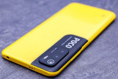 POCO M3 Pro 5G : Disupport Fitur DynamicSwitch dan Kamera Utama 48 MP