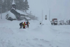 8 Pemain Ski Diterjang Longsor Salju di California Ditemukan Meninggal