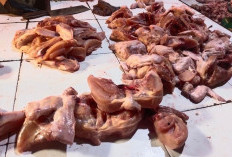Lebaran Usai, Harga Ayam di Palembang Masih Tinggi, ini Penyebabnya