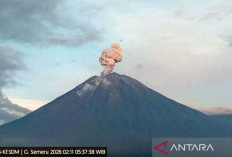 Gunung Semeru Erupsi, Masyarakat Dilarang Aktivitas Radius 5 km