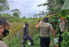 Mayat Perempuan Tanpa Identitas Ditemukan di Pinggir Sawah Desa Merah Mata Banyuasin