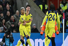 Tandukan Bocil 19 Tahun Menangkan Hotspurs Atas Crystal Palace 2-1