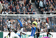 Newcastle Kalah 1-2 dari Sunderland di Laga Derbi