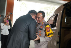 Kapolda Sumsel Temui Gubernur Herman Deru, Bahas Stabilitas Keamanan
