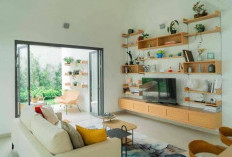 Simak! Ini 5 Jenis Barang yang Bikin Rumah Kamu jadi Lebih Rapi dan Bersih