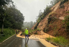 Longsor di Tapanuli Utara, Jalan Lintas Putus Total