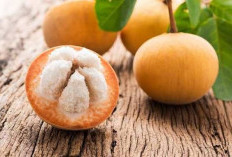 Inilah 5 Cara Memasak Kecapi dalam Hidangan Indonesia