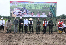 Sinergi TNI dan Pemerintah, Tanam Padi Bersama Gubernur Sumsel di Desa Sungai Dua