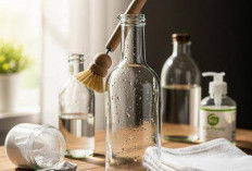 9 Tips Mudah Membersihkan Botol dari Noda Minyak agar Bersih dengan Bahan Dapur