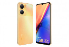 Vivo Y56 5G : Disupport Layar IPS LCD dengan Resolusi Full HD Plus