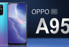 OPPO A95 : HP Mid Range yang Dibekali Resolusi Full HD Plus dengan Layar 6.43 Inci