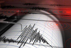 Gempa Landa Kabupaten Luwu Timur Pagi ini