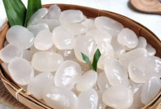 Simak! Inilah Durasi Ideal Kolang Kaling Harus Direndam Sebelum Dimasak dan Metode Terbaiknya