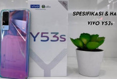 Vivo Y53s, Pilihan HP Mid Range yang Worth It untuk Jangka Panjang