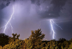 Pendaki Gunung Merbabbu Tersambar Petir, Evakuasi  Masih Berlangsung