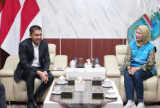 Bupati Ogan Ilir Terima Audiensi Manager MUP3 Ogan Ilir, Perkuat Pelayanan Listrik