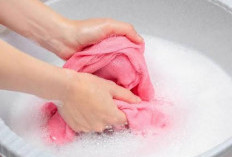 Tips Mudah Cuci Baju Agar Bebas dari Bulu Kucing, Hanya Gunakan Spons Dapur