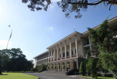 UGM Balas Sindiran Luhut, Ungkap Banyak Penelitian, Salah Satunya Bawang Putih