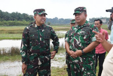 Perkuat Swasembada Pangan, Danrem 044/Gapo Tinjau Lokasi Cetak Sawah di Banyuasin