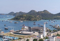 Kapal Wisata Disetop Sementara, Minat Wisatawan Berkunjung  ke Labuan Bajo Tetap Tinggi