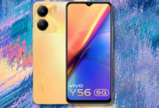 Murah Tapi Gahar, Vivo Y56 5G Jadi Rekomendasi Pilihan HP Anti Ngelag