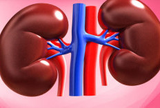 Malaysia Darurat Kasus Gagal Ginjal, ini Penyebabnya?