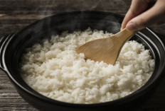 Dokter Ahli Saraf AS Ingatkan untuk Tidak Mengonsumsi Nasi Sisa, ini Penjelasannya