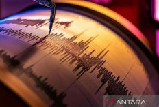 Gempa Landa Peru, 25 Orang Terluka