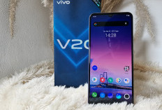 Vivo V20 : HP Mid Range yang Dibekali Pengisian Cepat 33 Watt dengan Baterai 4.000 mAh